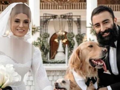 نگاهی به تیپ و استایل دامادی بازیگران و سلبریتی های مشهور سینمای ایران+عکس/ از رضا گلزار و علی اوجی تا سام درخشانی و پیمان قاسم خانی