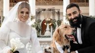 نگاهی به تیپ و استایل دامادی بازیگران و سلبریتی های مشهور سینمای ایران+عکس/ از رضا گلزار و علی اوجی تا سام درخشانی و پیمان قاسم خانی