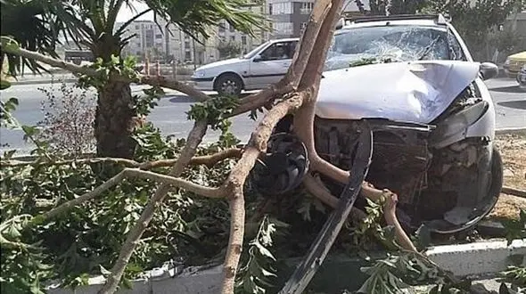  برخورد شدید پژو ۲۰۶ با درخت وسط بلوار + تصاویر 