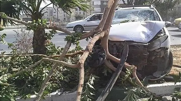  برخورد شدید پژو ۲۰۶ با درخت وسط بلوار + تصاویر 