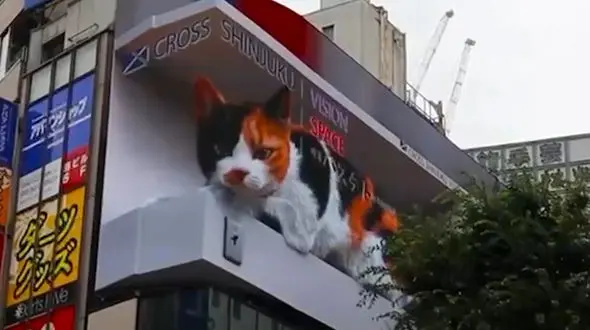 مشاهده گربه سه‌بعدی بالای ساختمان + فیلم 