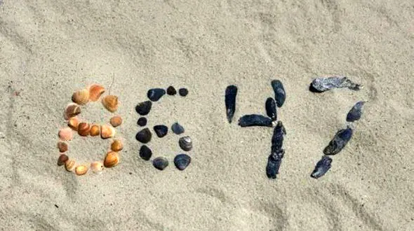 جنجال بر سر تصویر صدف‌ها /  کومی به تهدید غیرمستقیم قتل ترامپ متهم شد!