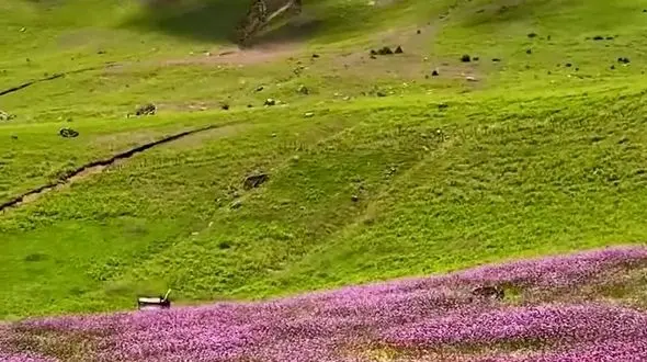 از تالش تا جواهردشت دو چهره زیبای ایران