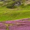 از تالش تا جواهردشت دو چهره زیبای ایران