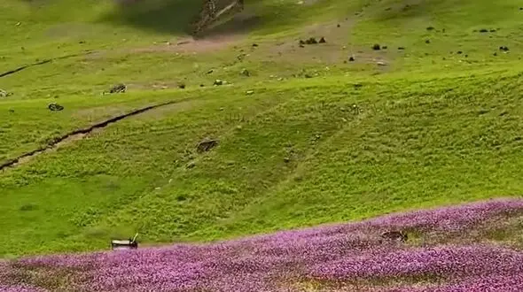 از تالش تا جواهردشت دو چهره زیبای ایران