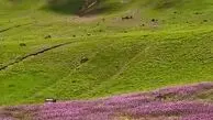 از تالش تا جواهردشت دو چهره زیبای ایران