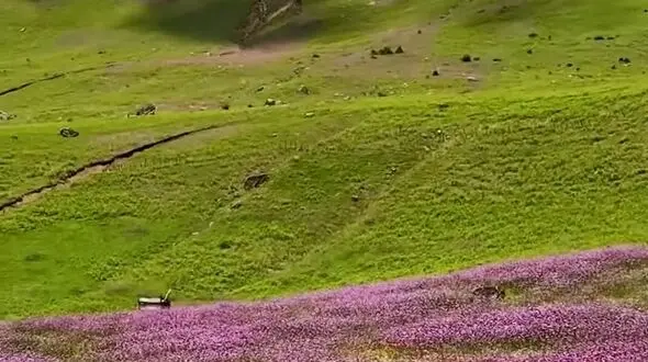 از تالش تا جواهردشت دو چهره زیبای ایران