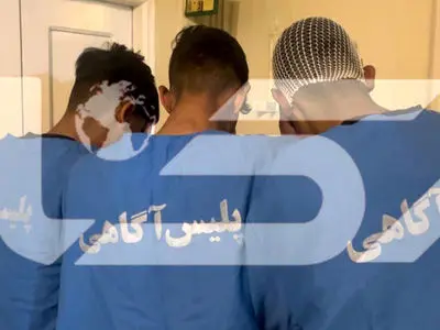 فیلم / جزئیات جدید از سرقت موبایل دختر دانشجو در خیابان ولنجک