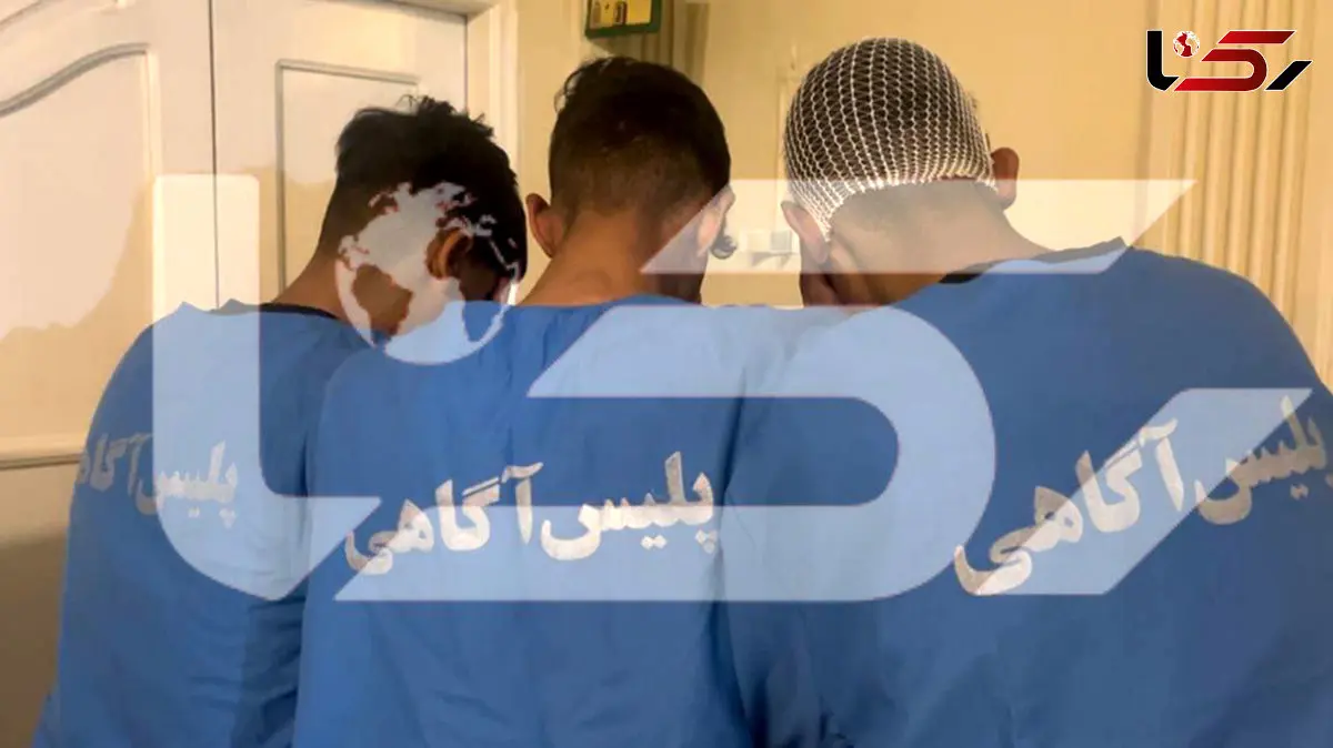 فیلم / جزئیات جدید از سرقت موبایل دختر دانشجو در خیابان ولنجک