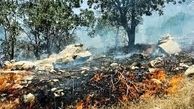 صدور 4 دستور قضایی رئیس کل دادگستری استان کردستان در خصوص حادثه آتش سوزی جنگلهای مریوان