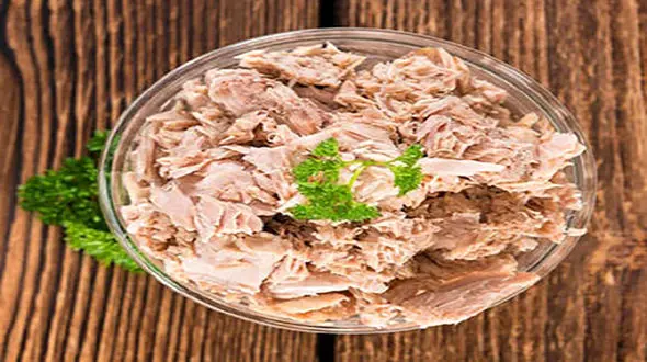 چطور تن ماهی خانگی درست کنیم؟