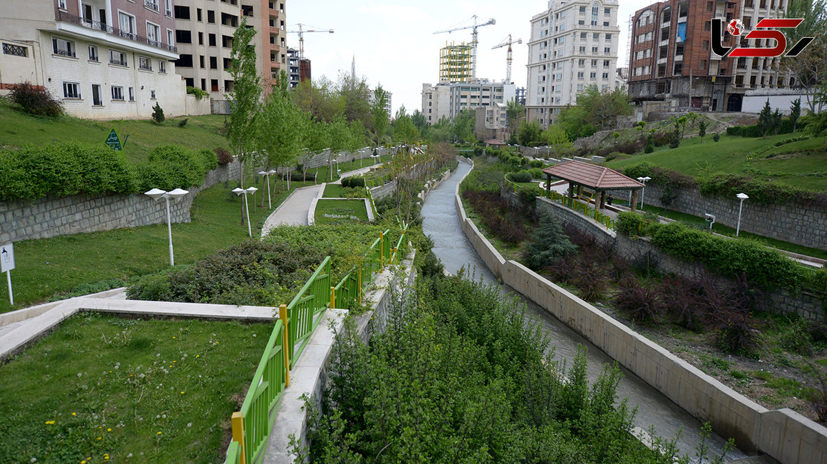 ابعاد بین المللی ساماندهی روددره های تهران