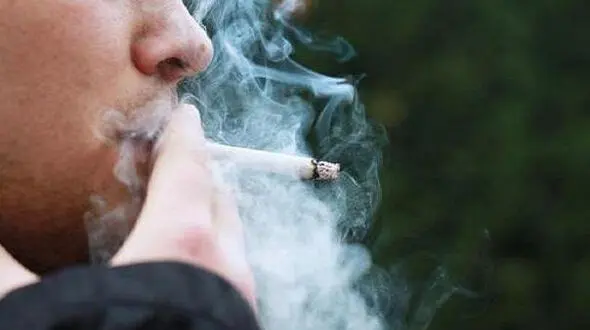 سیگار و ریسک سرطان حنجره تا ۴۰ برابر 