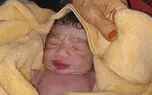 معصومه مهرآور کارشناس اورژانس بابل باز هم گل کاشت/ نجات جان یک نوزاد و مادر دیگر + صوت