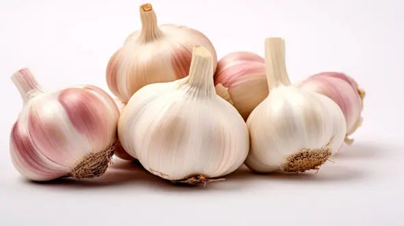 چرا سیر بوی بد دهان ایجاد می‌ کند؟ / راهکار رفع بوی سیر از دهان