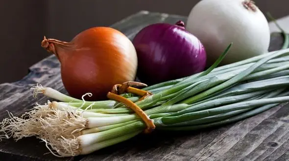 با آب پیاز موهایتان را پرپشت کنید