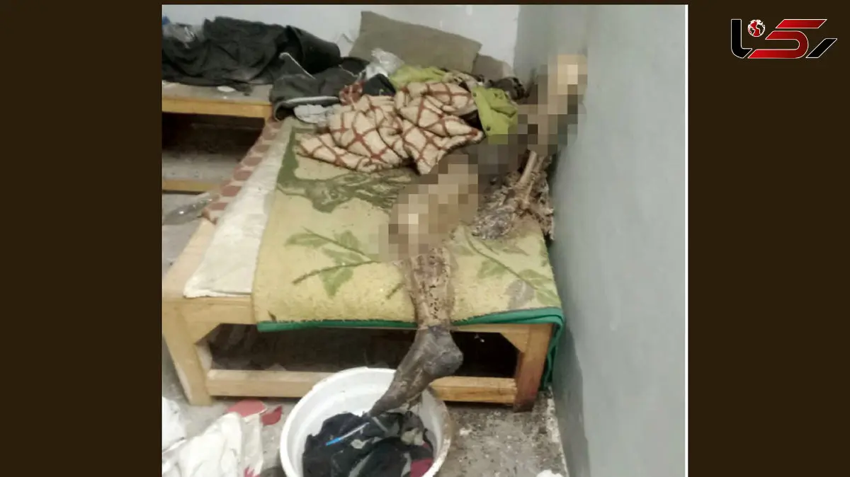 راز عجیب اسکلت شدن مرد روی تخت خانه متروکه