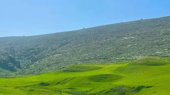 فیلم از دشت و خیال انگیز سوسن شهرستان ایذه