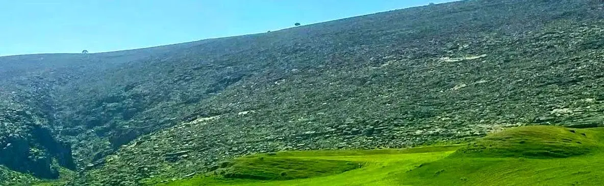 فیلم از دشت و خیال انگیز سوسن شهرستان ایذه