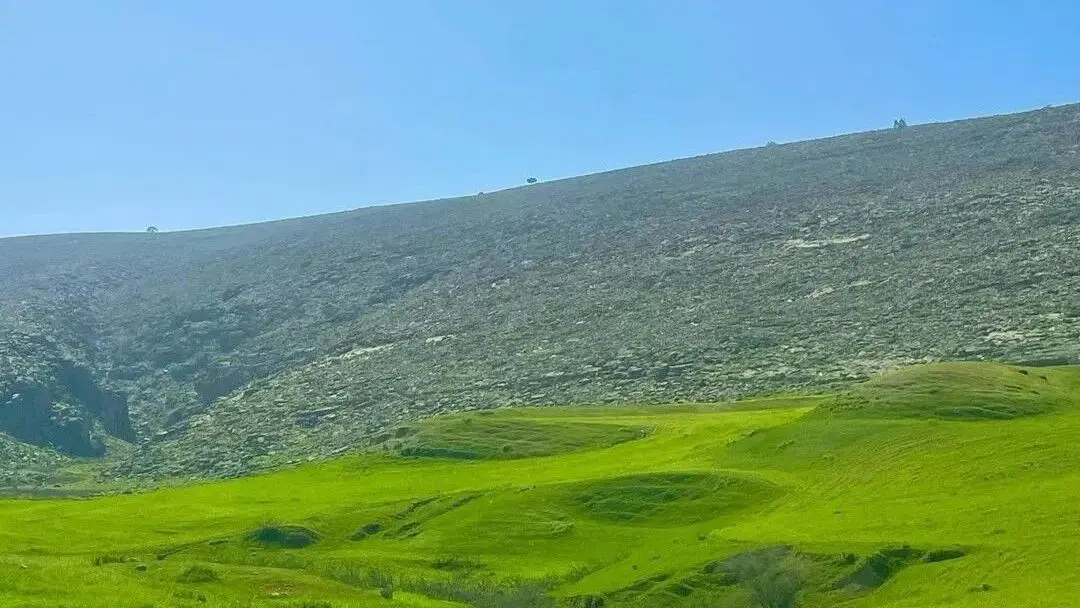 فیلم از دشت و خیال انگیز سوسن شهرستان ایذه