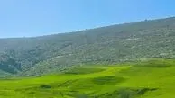 فیلم از دشت و خیال انگیز سوسن شهرستان ایذه