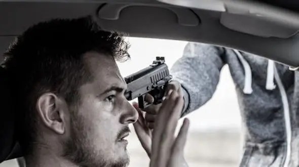 از تلاش برای سرقت تا عملیات نجات فیل