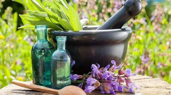 گیاهان کاهنده استرس/مقابله با بیماری آلزایمر با این گیاهان