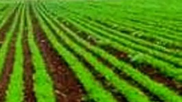 ۴ ساعت صرفه‌جویی؛ ۲۰ ساعت برق رایگان برای کشاورزان