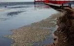 در یک سال اخیر، ۲۳ سانتی متر کاهش سطح دریای خزر ثبت شد / فیلم