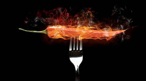 چطور درتمام طول روز کالری بسوزانیم