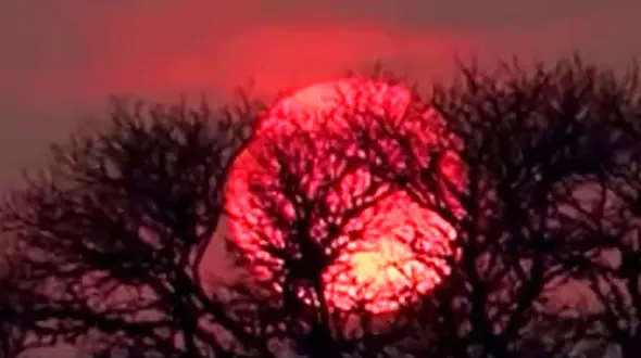 چه کارهایی برای پاکسازی ذهن و جسم هنگام ماه گرفتگی کامل انجام دهیم؟ / فیلم