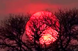 چه کارهایی برای پاکسازی ذهن و جسم هنگام ماه گرفتگی کامل انجام دهیم؟ / فیلم