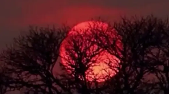 چه کارهایی برای پاکسازی ذهن و جسم هنگام ماه گرفتگی کامل انجام دهیم؟ / فیلم