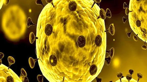 ایران در محاصره کرونا + جزییات