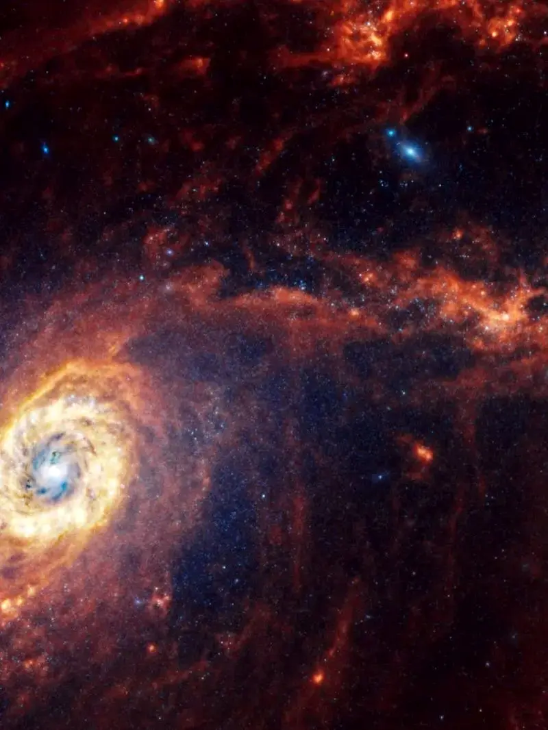 photo_2025-11-15_19-11-41