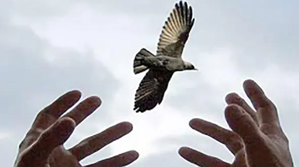 بخشش قاتل 20 ساله در قزوین 