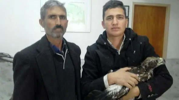 تحویل  جوجه عقاب طلایی توسط مردنیشابوری  به اداره حفاظت محیط زیست  + عکس