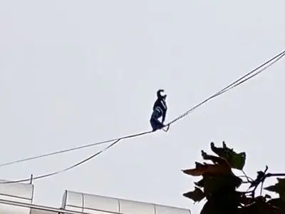 حرکت خطرناک دختر جوان روی سیم‌های بین ساختمان در پاساژ الماس شرق شهریار