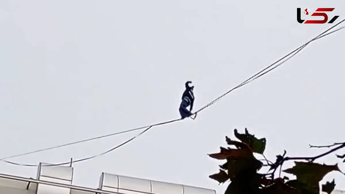 حرکت خطرناک دختر جوان روی سیم‌های بین ساختمان در پاساژ الماس شرق شهریار