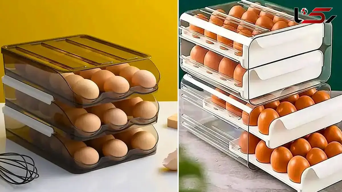 جدیدترین جا تخم مرغی‌ ها: 15 طرح مینیمال و خاص برای دیزاین آشپزخانه امروزی