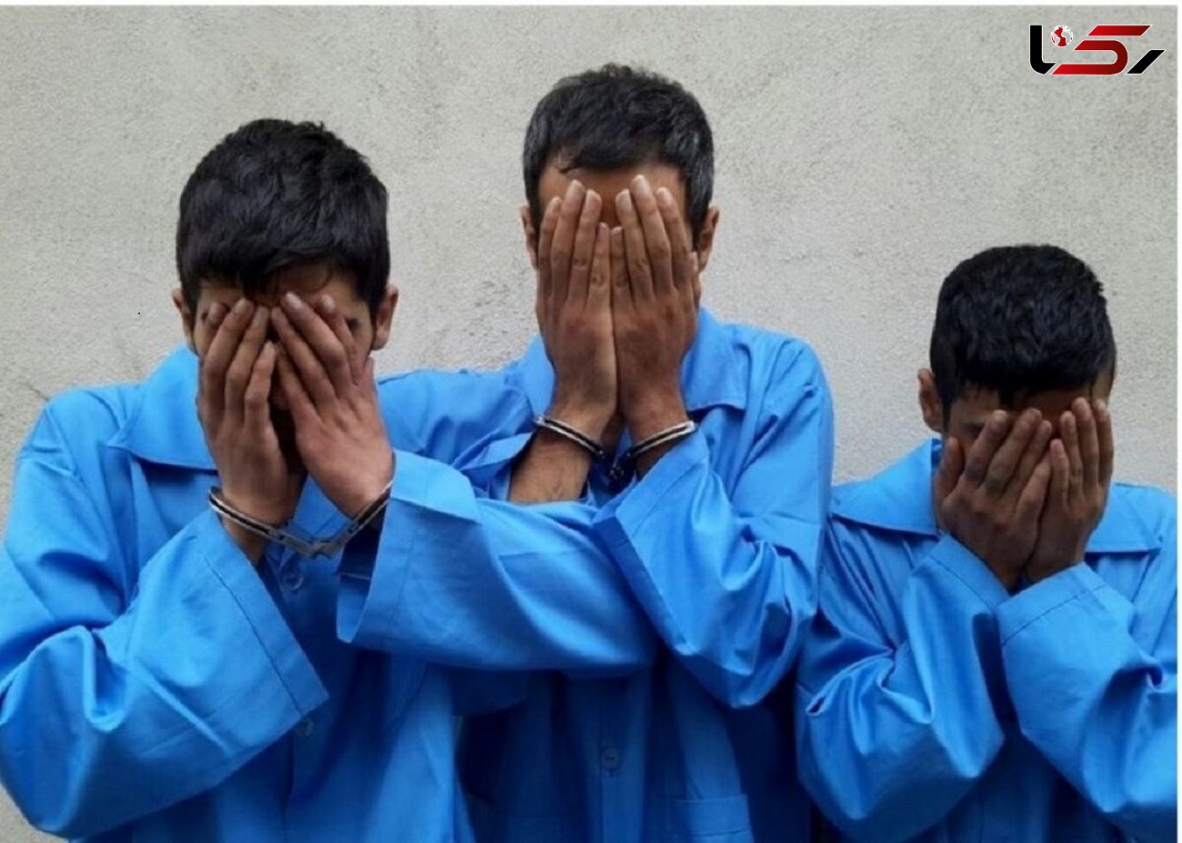 دستگیری 3 سارق حرفه ای در ماکو