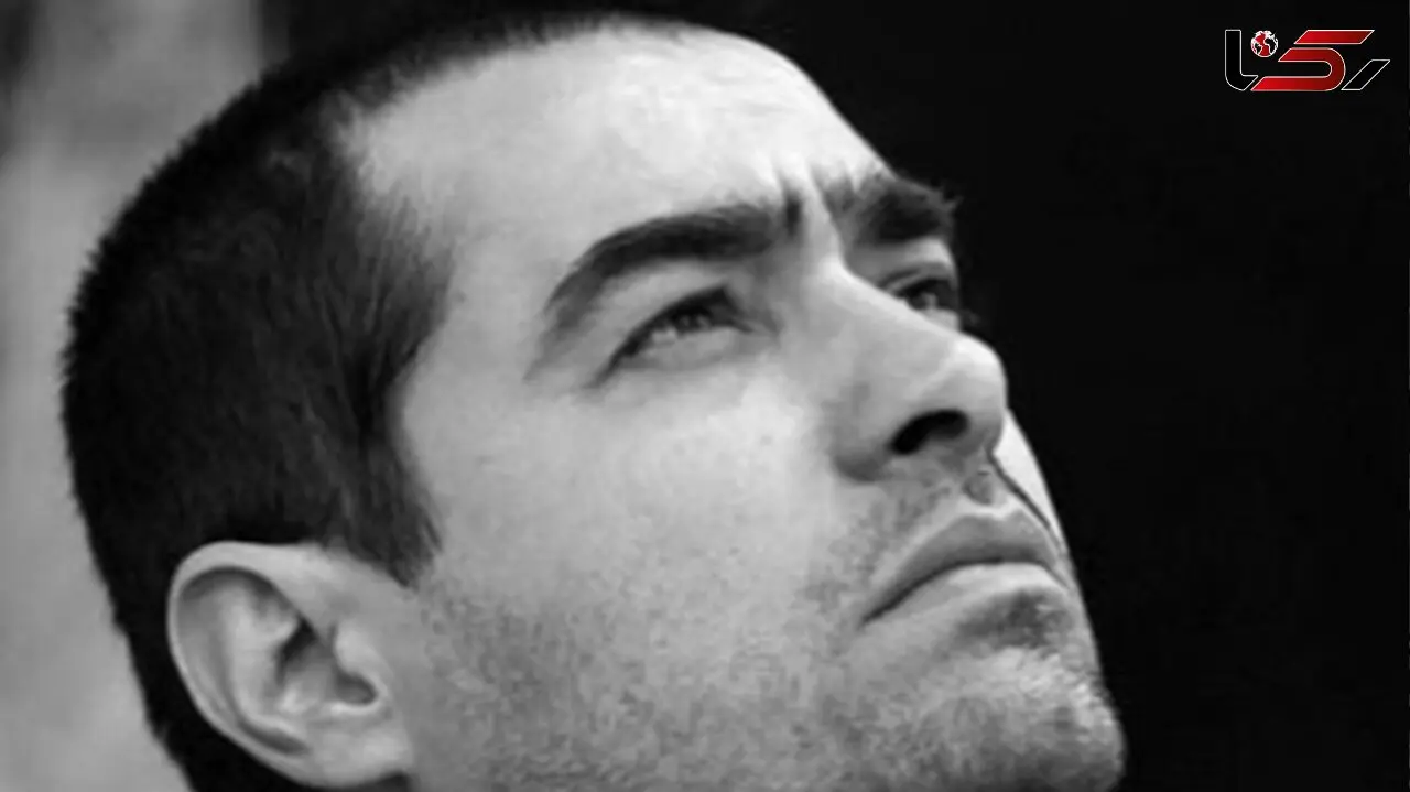 شهاب حسینی: حال گوسفند نگون بختی رو دارم که برای ادامه زندگی ، مدام باید نگران گرگ های دو پا و چهار پایی باشد که ...