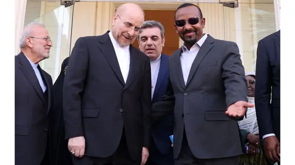 حل مسائل اقتصادی در ساختار بریکس/ رهاورد سفر رییس مجلس به اتیوپی