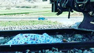 مرگ مشکوک یک مرد در راه آهن رشت + عکس جنازه