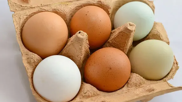 قیمت تخم مرغ در بازار چند؟
