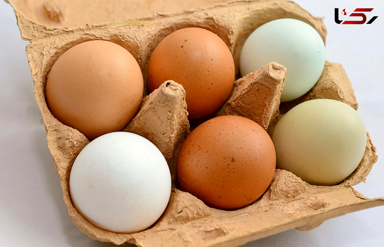 قیمت تخم مرغ در بازار پر کشید