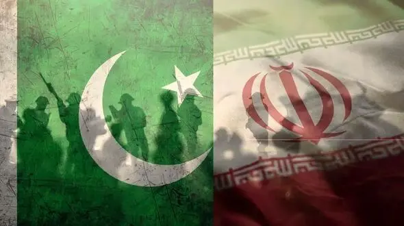 وزیر کشور پاکستان وارد تهران شد
