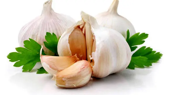 هزار و یک خاصیت سیر را بشناسید