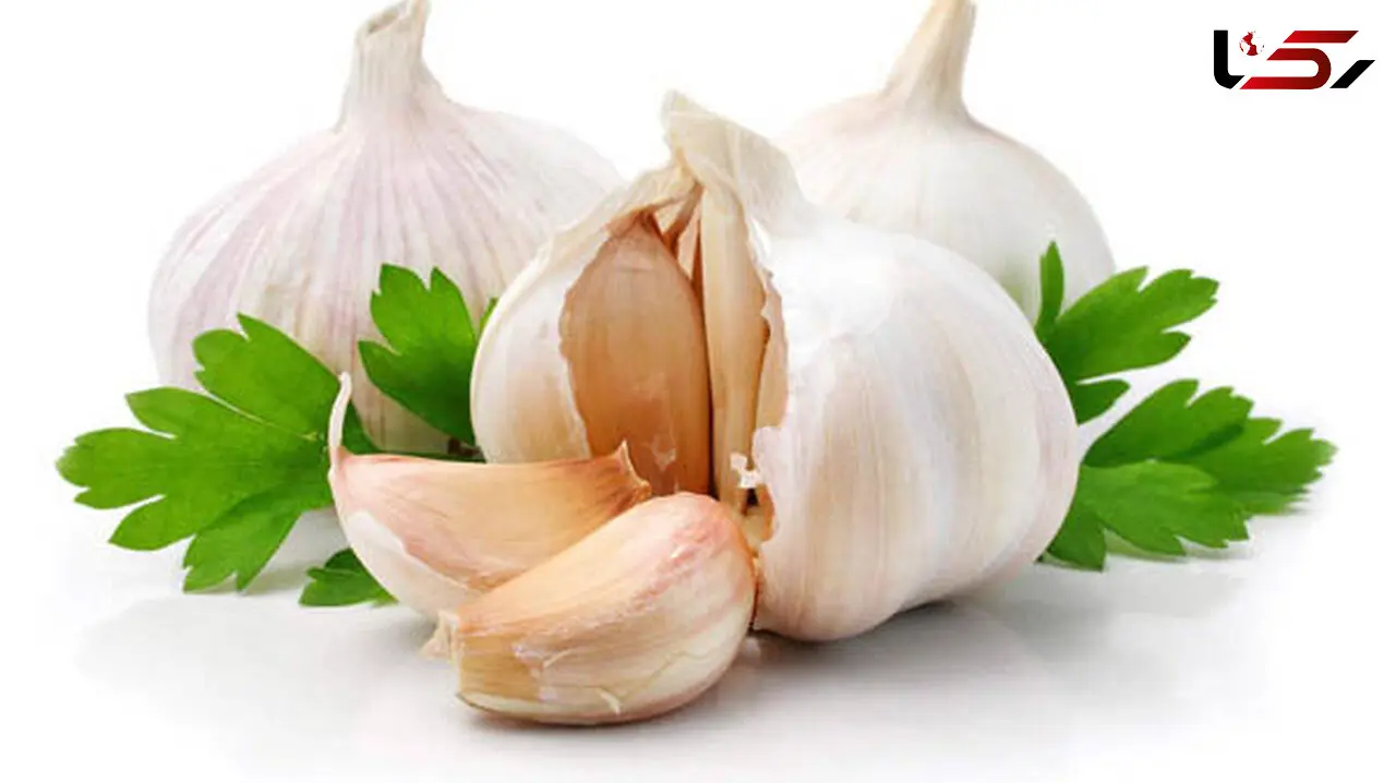 هزار و یک خاصیت سیر را بشناسید