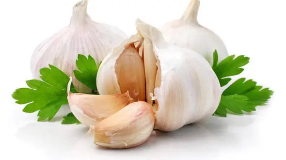 هزار و یک خاصیت سیر را بشناسید